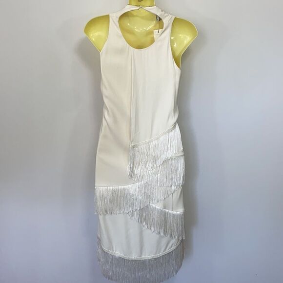 Joie Dress “Amiyah” White Flapper Fringe So Gatsby NWT 8 - Picture 7 of 9